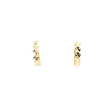 Elegant Gold Earrings