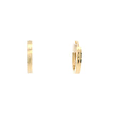 Elegant Gold Hoop Earrings