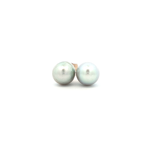 White Pearl Stud Earrings, Gold Jewellery Sydney Australia 