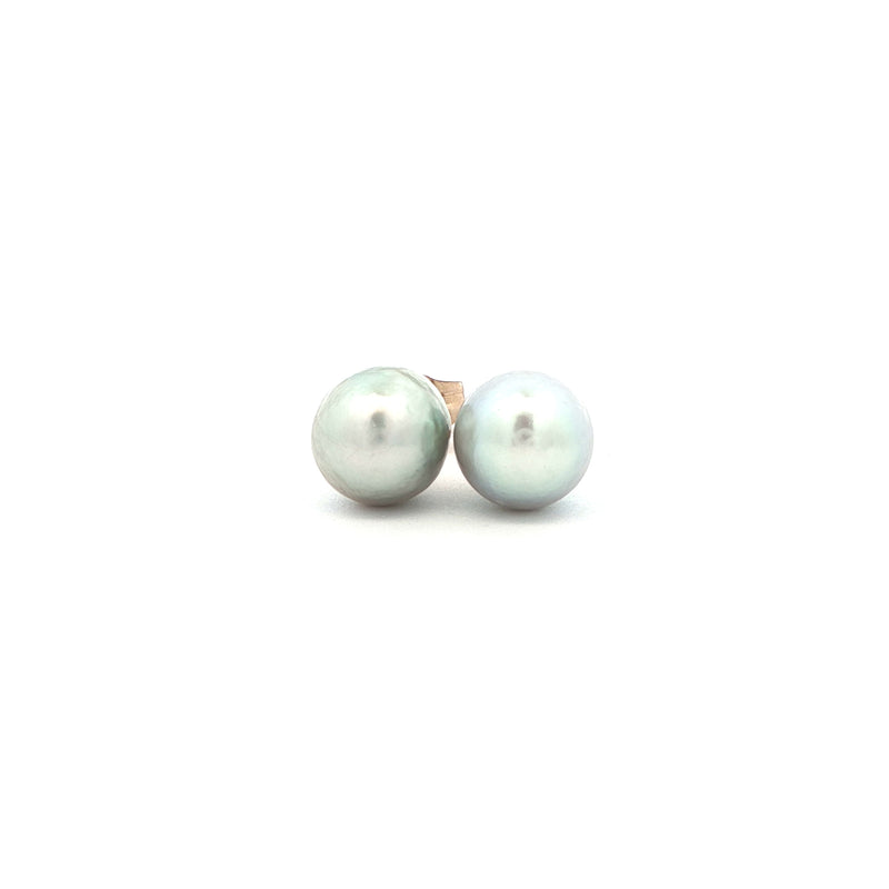 White Pearl Stud Earrings, Gold Jewellery Sydney Australia 